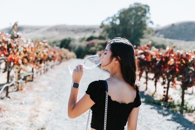 Tasting in the vineyards